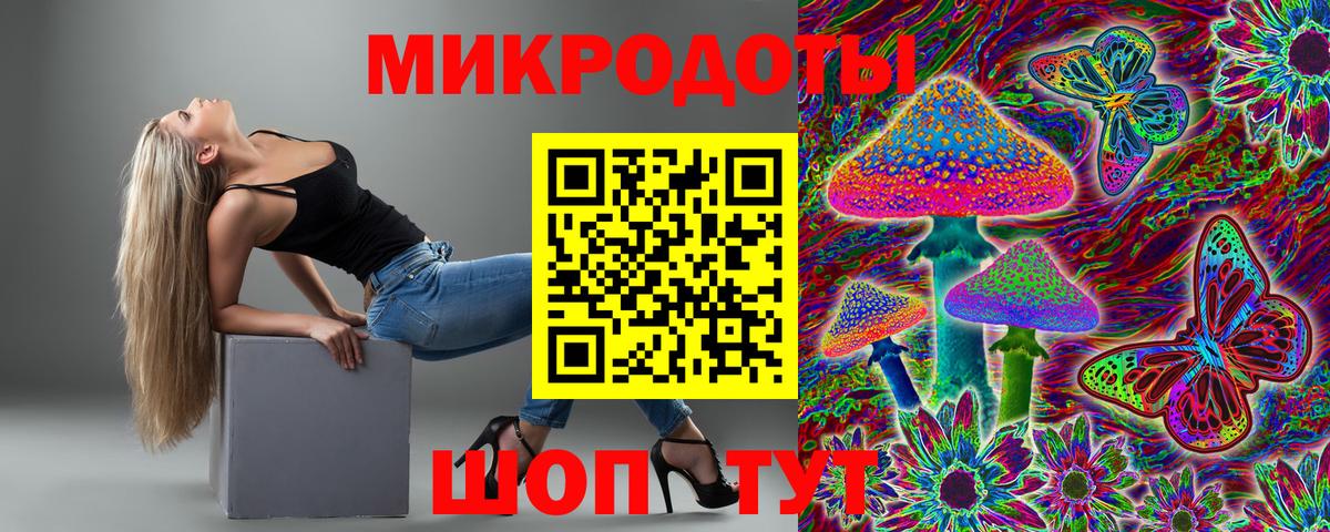 Псилоцибиновые грибы Psilocybe Щёлково