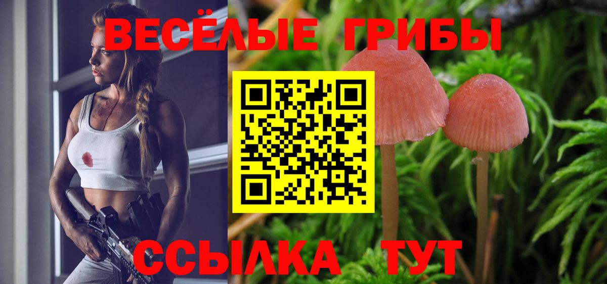 Щёлково  Псилоцибиновые грибы GOLDEN TEACHER  Псилоцибиновые грибы Cubensis  Вход с VPN 